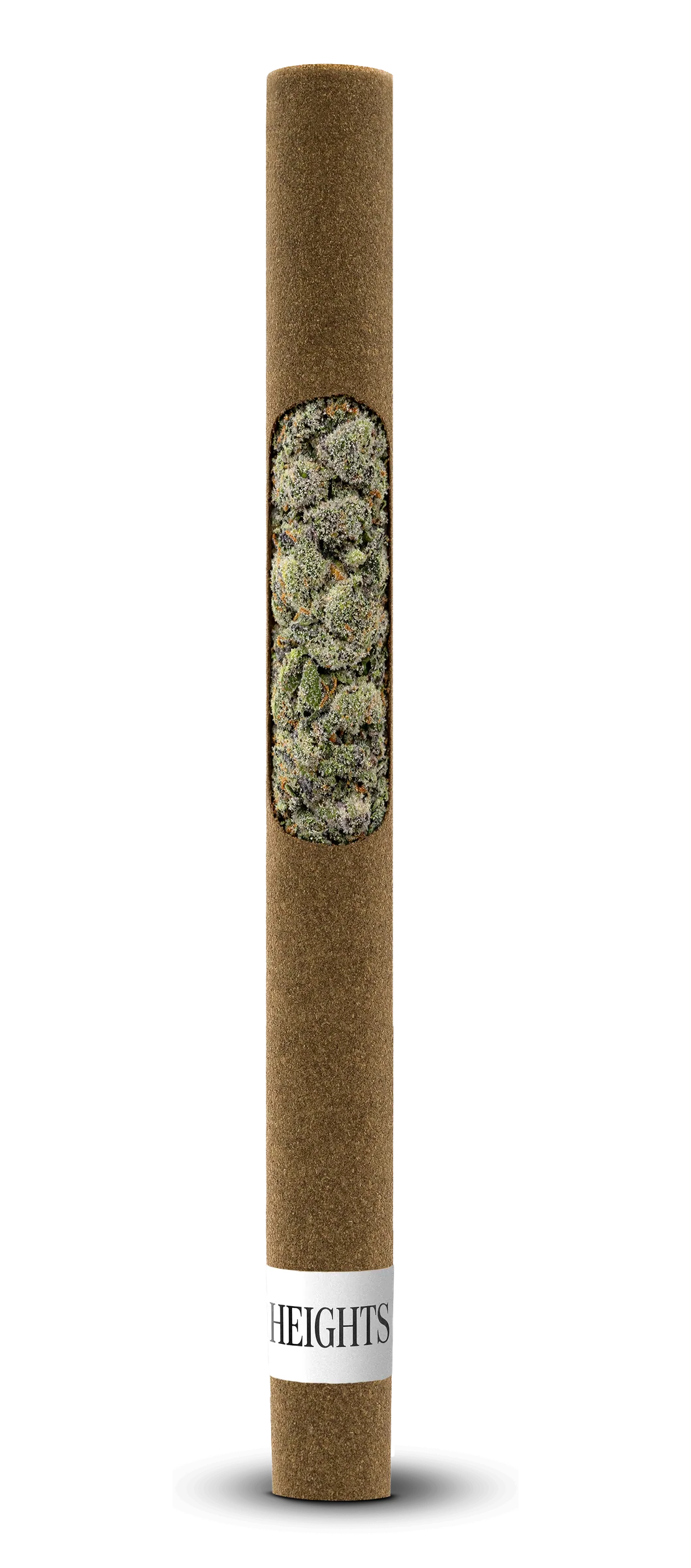 Classic anatomy blunt