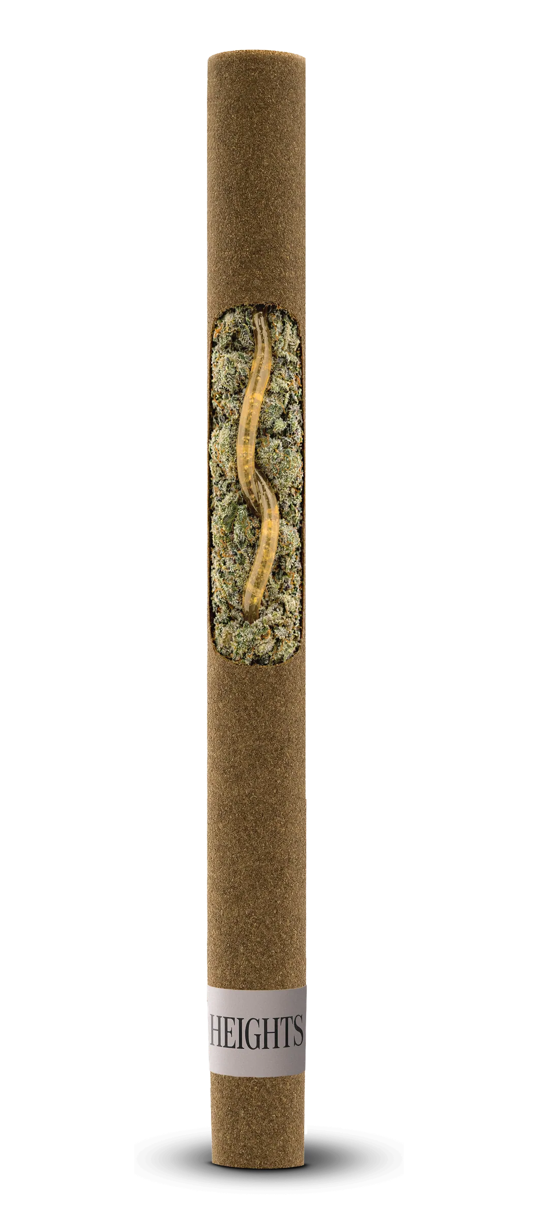 Starlight anatomy blunt