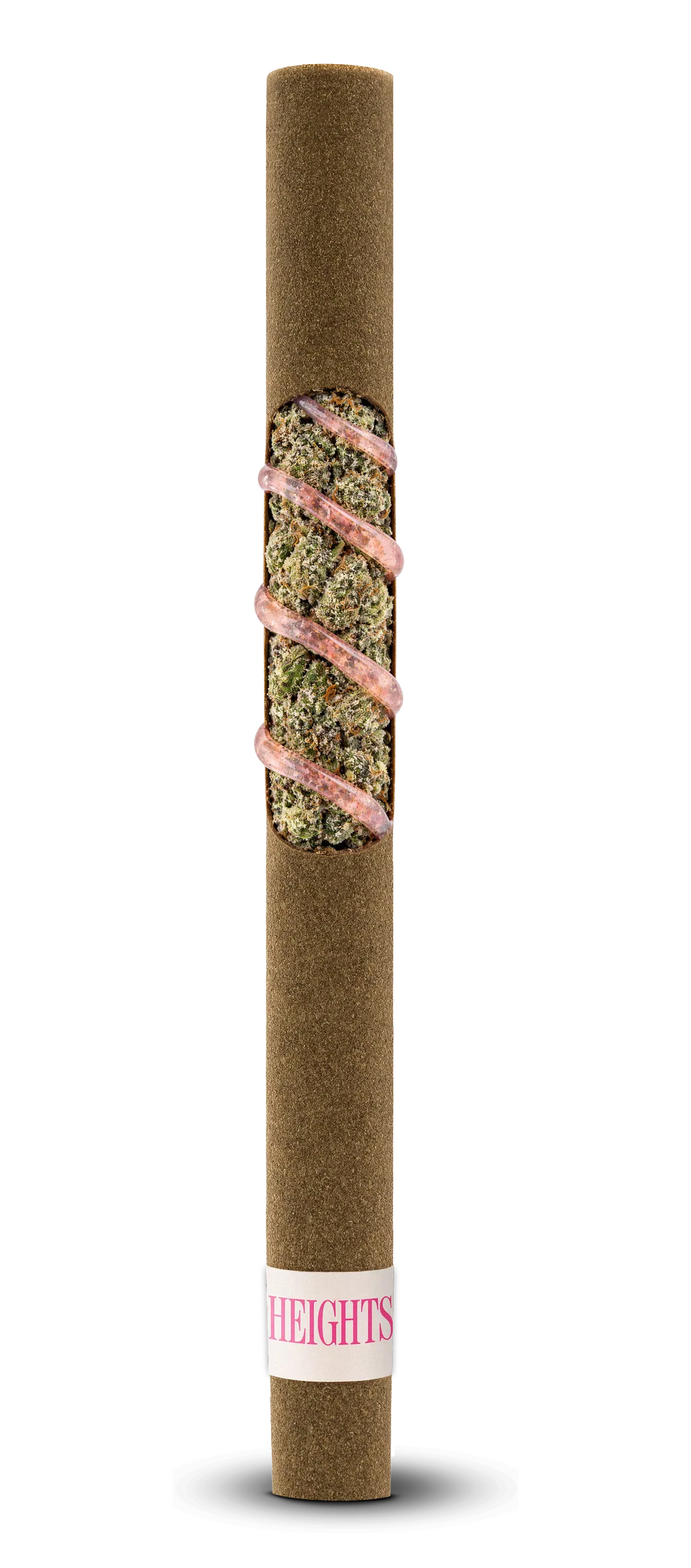 Sweets anatomy blunt